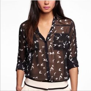 Express Sheer Black Bird Print Convertible Sleeve Portofino Shirt
